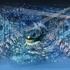 「ムーミンバレーパーク」海のオーケストラ号（C）Moomin Characters TM
