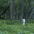 『約束のネバーランド』（C）白井カイウ・出水ぽすか／集英社　（C）2020 映画「約束のネバーランド」製作委員会