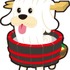 太くコシが強い　香川犬は讃岐名物　「47都道府犬Ｒ」