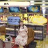 『声優と夜あそび 水【上坂すみれ×鈴木愛奈】#1』（C）AbemaTV,Inc.