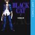 『BLACK CAT』著：矢吹健太朗（集英社）