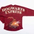 ホグワーツ特急のスウェット‘Wizarding World’ and all related names, characters and indicia are trademarks of and （C） Warner Bros. Entertainment Inc. - Wizarding World publishing rights （C） J.K. Rowling.