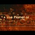 「～おとなのアニメ～ The Planet of Stray Cats」　（C）2014 PLUS heads inc.