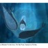北アイルランドの宮崎駿　「ソング・オブ・ザ・シー海のうた」欧州話題の長編アニメーション公開決定
