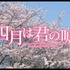 『四月は君の嘘』（C）映画「四月は君の嘘」製作委員会　（C）新川直司／講談社