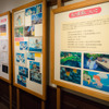 ジブリ美術館、1年半ぶり新企画展「ジブリの色塗り」開催！ 見どころをフォトレポートで紹介・画像