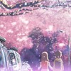 今年は #おうち時間 で花見気分に！ 「CCさくら」「ワンピース」…アニメで描かれた桜名シーン5選・画像