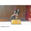 「ベイマックス」同時上映短編は「愛犬とごちそう」　ディズニー全社員公募コンペからアニメ化・画像