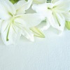 「名探偵コナン」毛利蘭役の声優・山崎和佳奈さんが逝去 原作者・青山剛昌が弔意伝える　蘭役後任は岡村明美さん・画像
