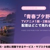 「青ブタ（青春ブタ野郎）」の配信はどこで見れる？アニメ1期・2期と劇場版を見放題で見られるサブスクを比較・画像