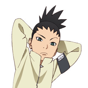 (C) 岸本斉史 スコット／集英社・テレビ東京・ぴえろ