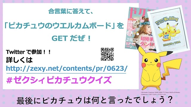 （C）Nintendo･Creatures･GAME FREAK･TV Tokyo･ShoPro･JR Kikaku （C）Pokemon （C）2017 ピカチュウプロジェクト