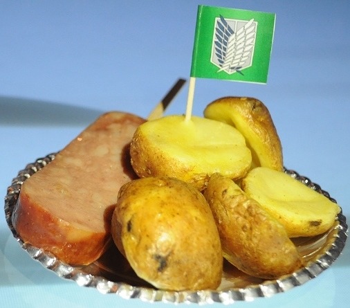 （C）諫山創・講談社／「進撃の巨人」製作委員会