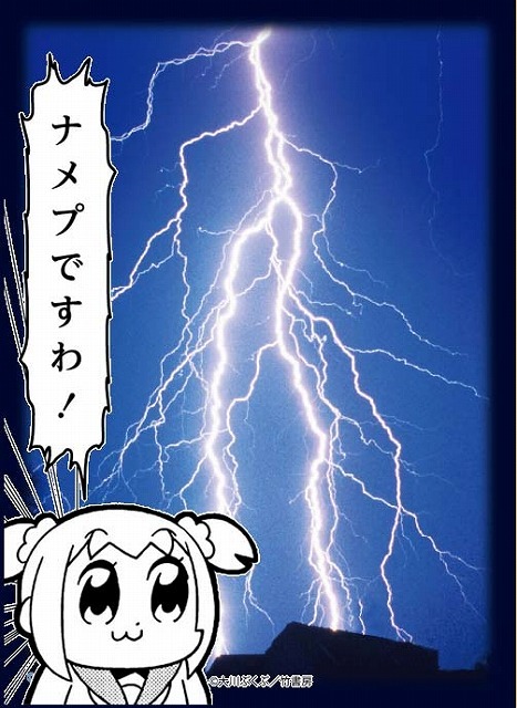 スリーブプロテクター（C)大川ぶくぶ／竹書房