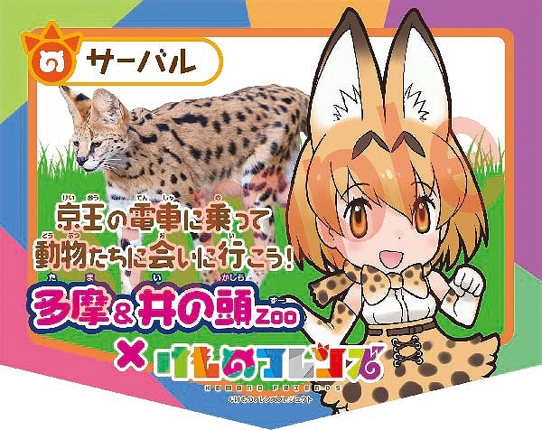 オリジナルヘッドマーク（C）けものフレンズプロジェクト