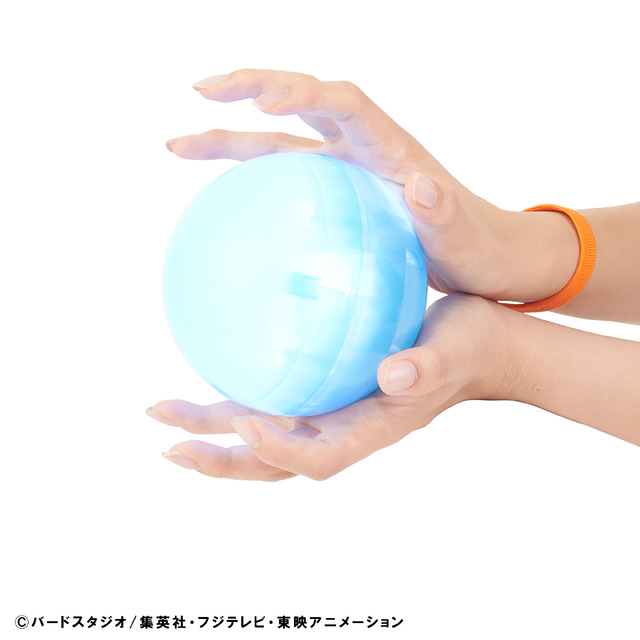 「カメハメハボール」(C)バードスタジオ/集英社・フジテレビ・東映アニメーション