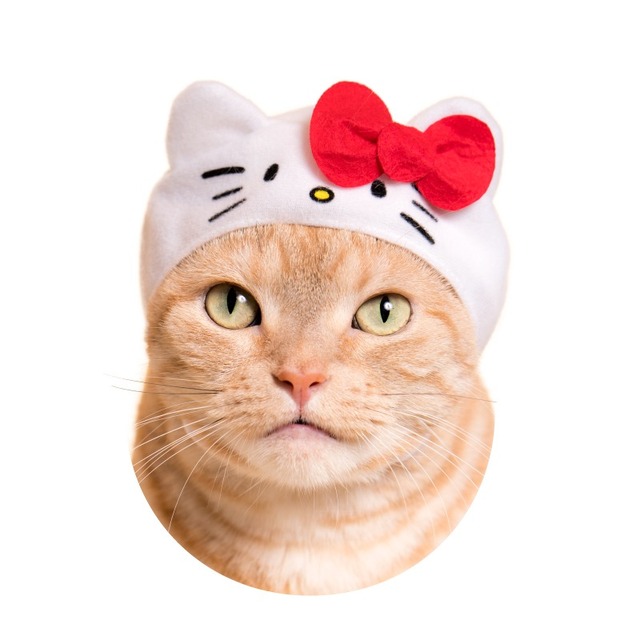 「ハローキティ」(C)1976,1996,2001,2005,2013,2017 SANRIO CO.,LTD.