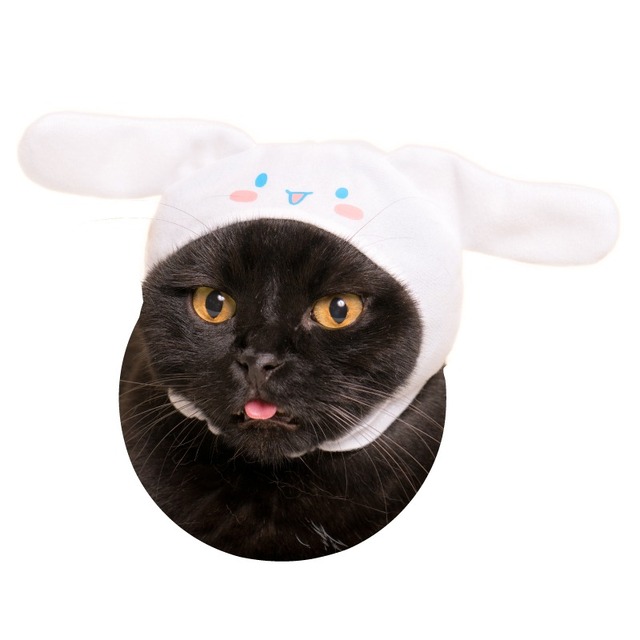 「シナモロール」(C)1976,1996,2001,2005,2013,2017 SANRIO CO.,LTD.