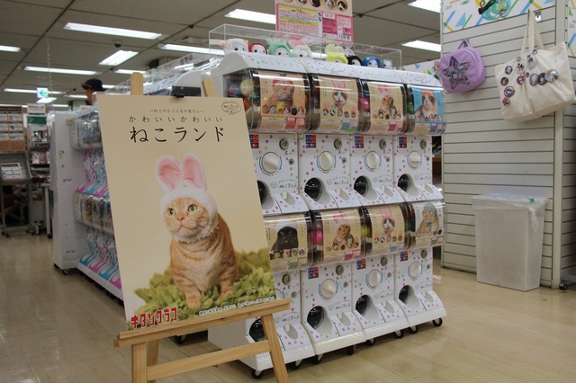「かわいい かわいい ねこランド」