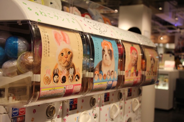 「かわいい かわいい ねこランド」