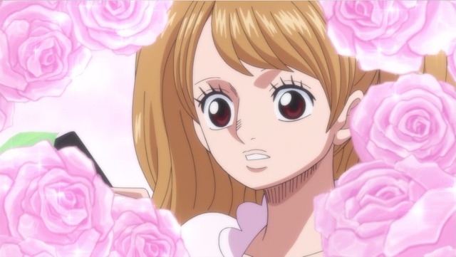 「ONE PIECE」(C)尾田栄一郎／集英社・フジテレビ・東映アニメーション