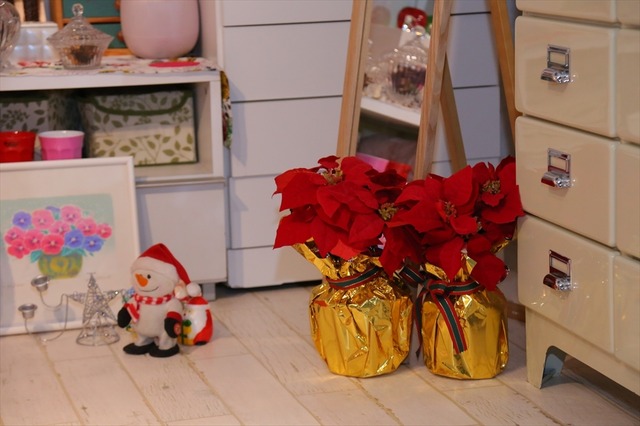 【収録オフショット】二人のクリスマスはまるで“恋人”同士？「水瀬いのりと大西沙織のPick Up Girls」第11回