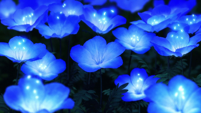 『さよならの朝に約束の花をかざろう』場面カット(C)PROJECT MAQUIA