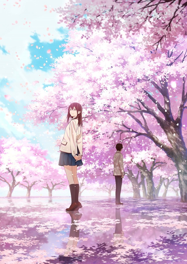トップアニメ 桜 背景 画像