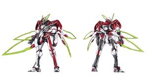 (c)SUNRISE/VVV Committee, MBS