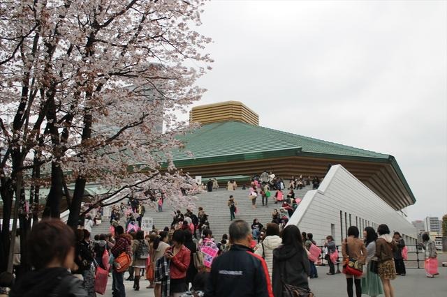 「バサラ祭2013 ～春の陣～」