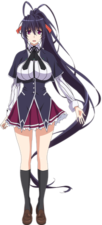 姫島朱乃(C)石踏一榮・みやま零／株式会社KADOKAWA刊／ハイスクールＤ×Ｄ HERO製作委員会