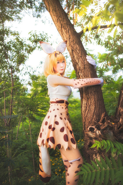 『けものフレンズ』／サーバル