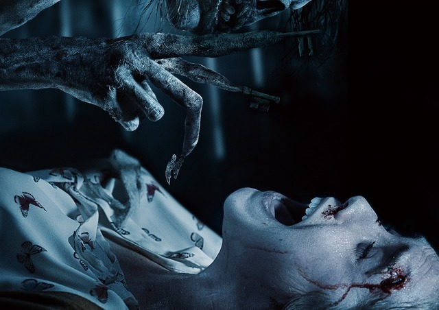 インシディアス～ザ・ラスト・キー～（NEW）