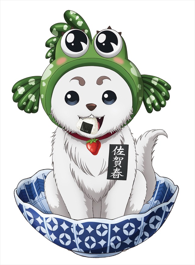 佐賀県×銀魂「佐賀春プロジェクト」佐賀春(C)空知英秋／集英社・テレビ東京・電通・BNP・アニプレックス