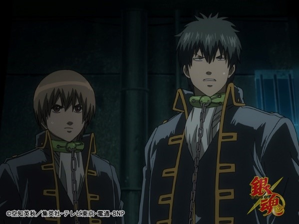 TVアニメ『銀魂』場面カット (C)空知英秋／集英社・テレビ東京・電通・BNP・アニプレックス