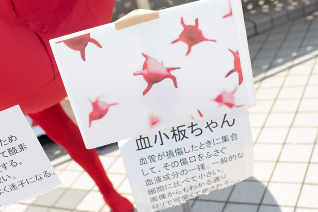 【コミケ94】「そう来たか！」斜め上の発想で魅せてくれた2日目のネタ系コスプレまとめ