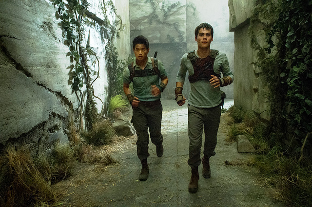 『メイズ・ランナー』