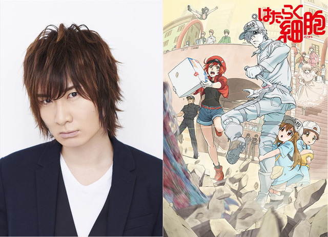 前野智昭／「はたらく細胞」(C)清水茜／講談社・アニプレックス・davidproduction