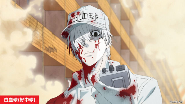 「はたらく細胞」白血球(C)清水茜／講談社・アニプレックス・davidproduction