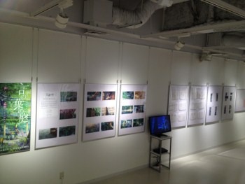 新海誠展 タワーレコード渋谷展