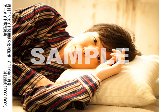 「月刊TVガイド2019年1月号」＜神谷浩史特典生写真　関西版＆北海道版Ver. ＞390円