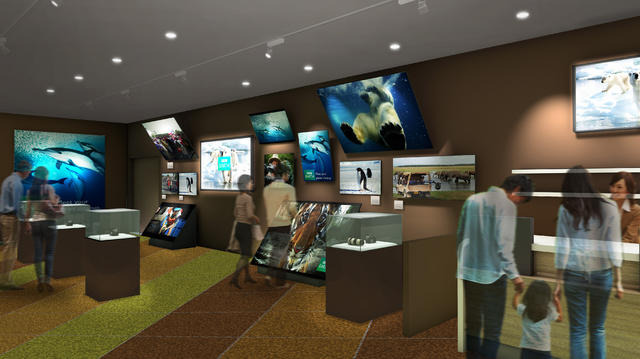 舞台裏を紹介するメイキングコーナー