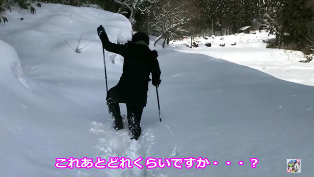 『ピカ・ブイ』やるなら『ポケGO』もやろうぜ！今から始める人が知っておきたい5つの事【ポケモンGO 秋田局】