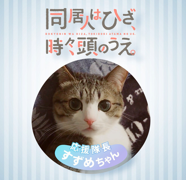 応援隊長「猫のすずめちゃん」(C)みなつき・二ツ家あす・COMICポラリス/ひざうえ製作委員会