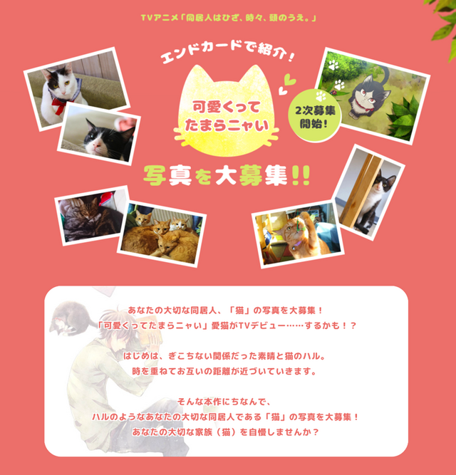 TVアニメ『同居人はひざ、時々、頭のうえ。』「可愛くってたまらニャい」猫写真2次募集告知(C)みなつき・二ツ家あす・COMICポラリス/ひざうえ製作委員会