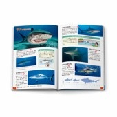 ミニ図鑑 「危険生物 サメなどのなかま」