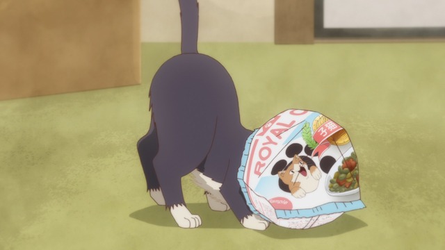 『同居人はひざ、時々、頭のうえ。』第2話 先行カット（C）みなつき・二ツ家あす・COMICポラリス/ひざうえ製作委員会