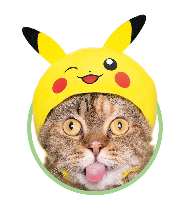 「かわいいかわいいねこのかぶりもの ポケットモンスター2」1回400円（税込）（C）2019 Pokemon. （C）1995-2019 Nintendo/Creatures Inc. /GAME FREAK inc.