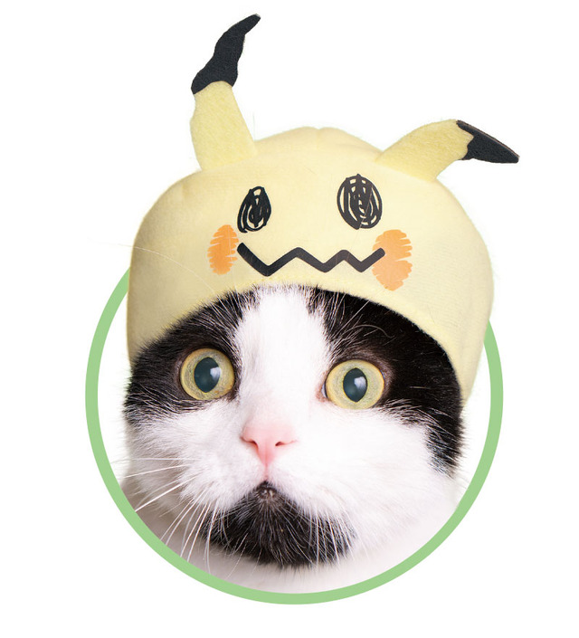 「かわいいかわいいねこのかぶりもの ポケットモンスター2」1回400円（税込）（C）2019 Pokemon. （C）1995-2019 Nintendo/Creatures Inc. /GAME FREAK inc.