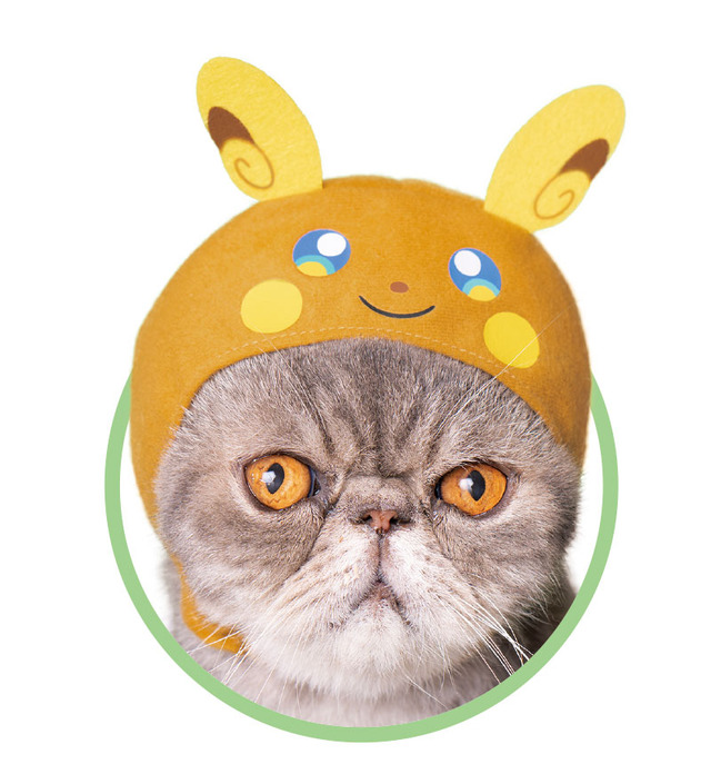 「かわいいかわいいねこのかぶりもの ポケットモンスター2」1回400円（税込）（C）2019 Pokemon. （C）1995-2019 Nintendo/Creatures Inc. /GAME FREAK inc.
